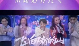 网友爆料湖南卫视节目视频,网友热议精彩瞬间！